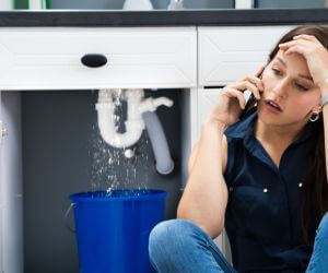 About The Faucet Pros Lee, FL